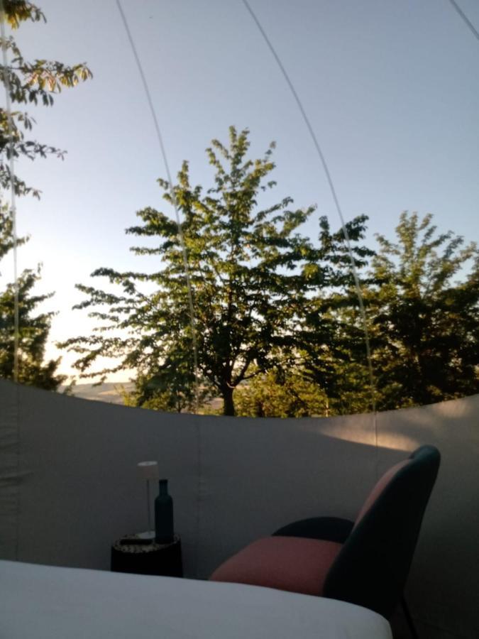 La Bolla Del Borgo. Le Marche Tra Le Stelle. Hotel Corinaldo Exterior foto